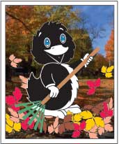 Inky in the fall